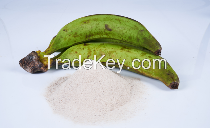 Peruvian Banana Powder 