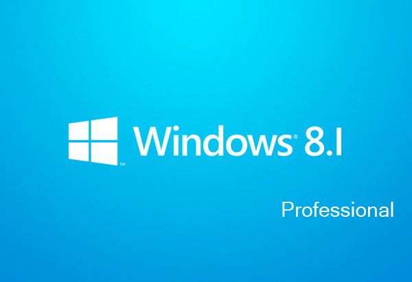 Windows 8.1 Professional product key