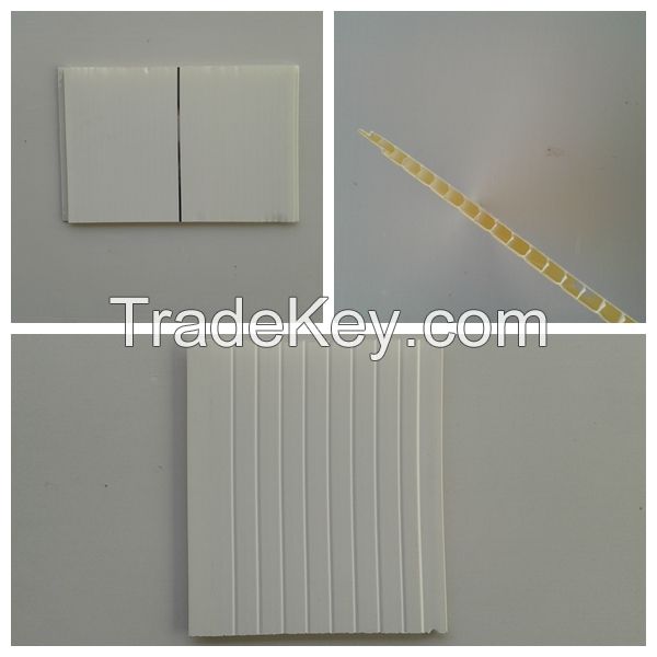 Manufacturer of PVC Ceiling indoors(BF-20-27)