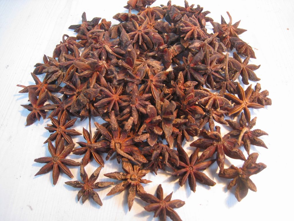 Star aniseed autumn crop