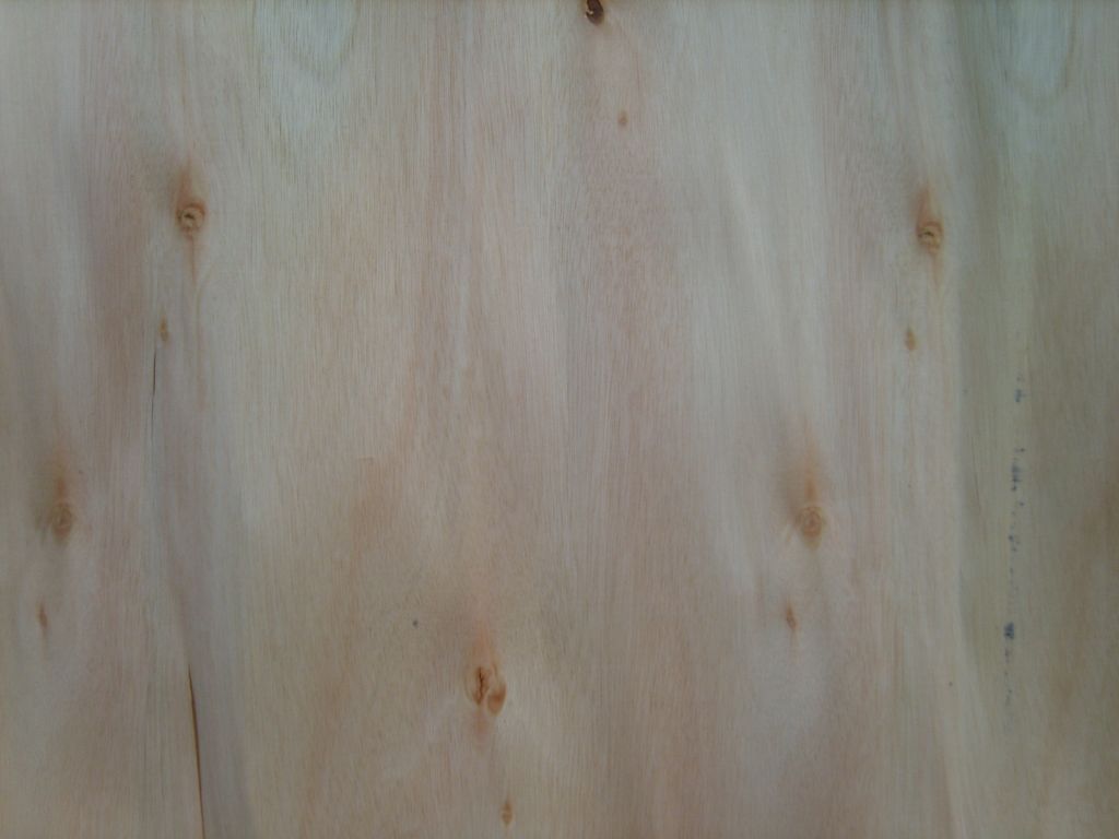 Eucalyptus with 0.25mm for panel