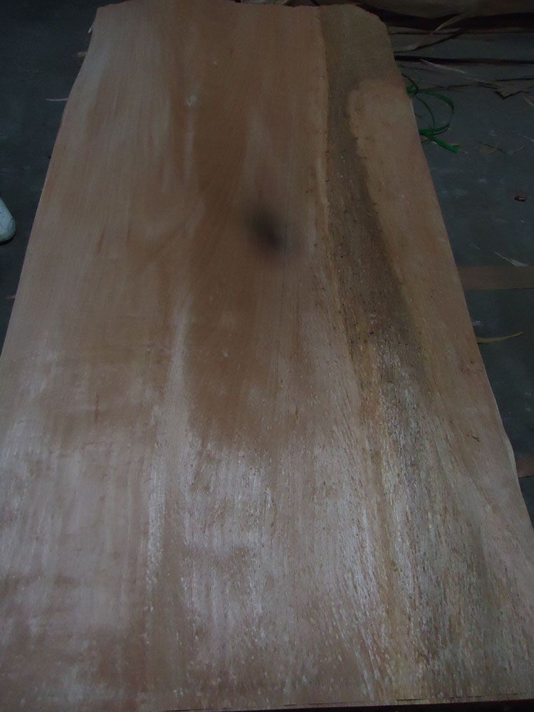 Okoume veneer for plywood