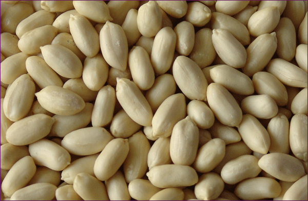 Blanched peanuts, chinese blanched peanuts