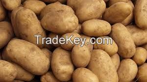 Fresh  Potatoes