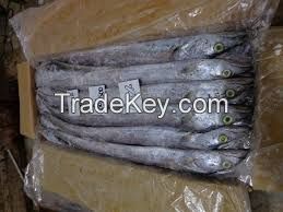 Frozen Ribbon Fish | Mackerel Fish | Salmon Fish |