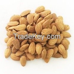 100% High Quality Almond Nuts for sale