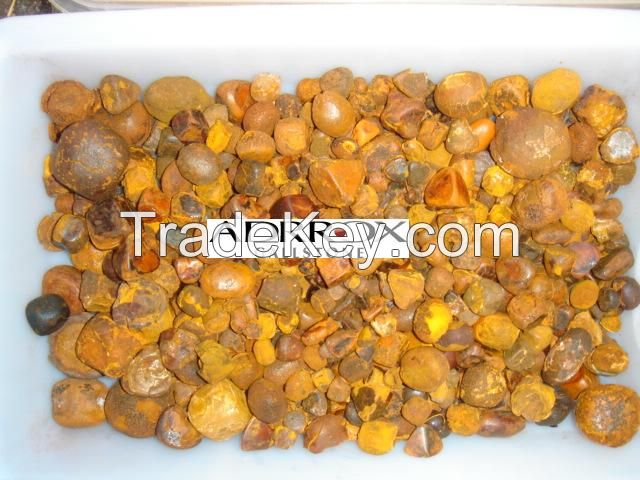 100% High Quality Cattle Gallstones