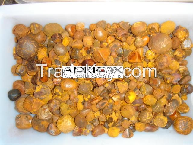 Best Dried Cow Ox Gallstones