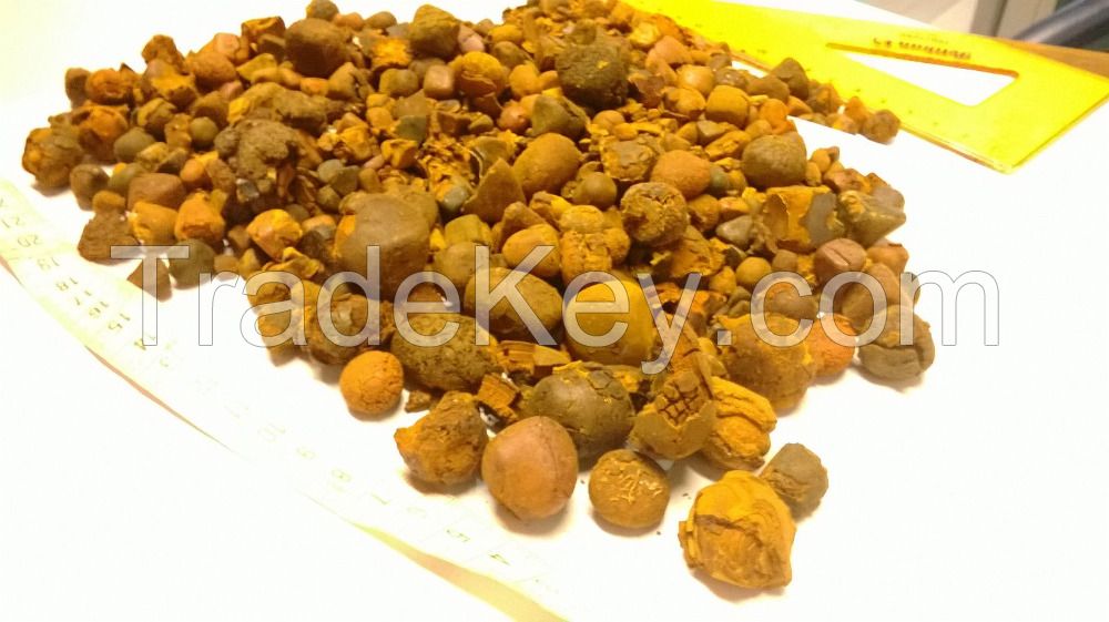 100% High Quality Cattle Gallstones