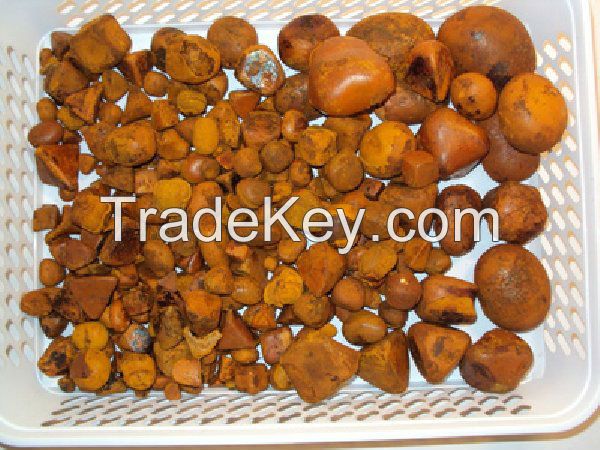 Best Dried Cow Ox Gallstones