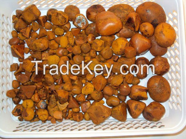 Cattle Gallstones for sale