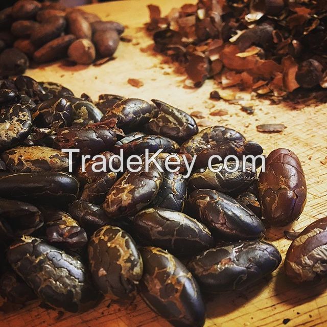 Hight Quality Cacao Beans