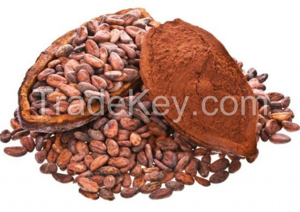 Hight Quality Cacao Beans