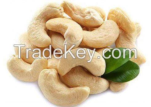 Certified Quality Well Cleaned Cashew Nut W240 W320 W450 for All Importers