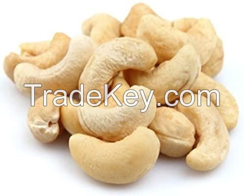 Certified Quality Well Cleaned Cashew Nut W240 W320 W450 for All Importers