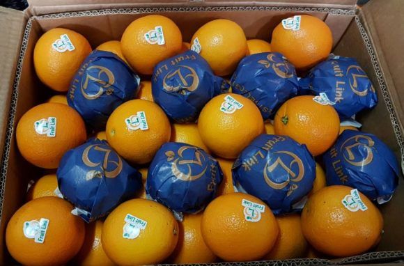 Buy Fresh Naval And Valencia Oranges