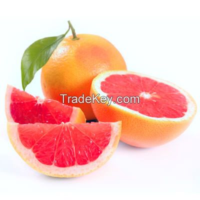Sweet Fresh Navel Orange