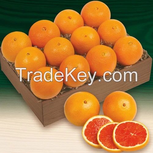 Sweet Fresh Navel Orange