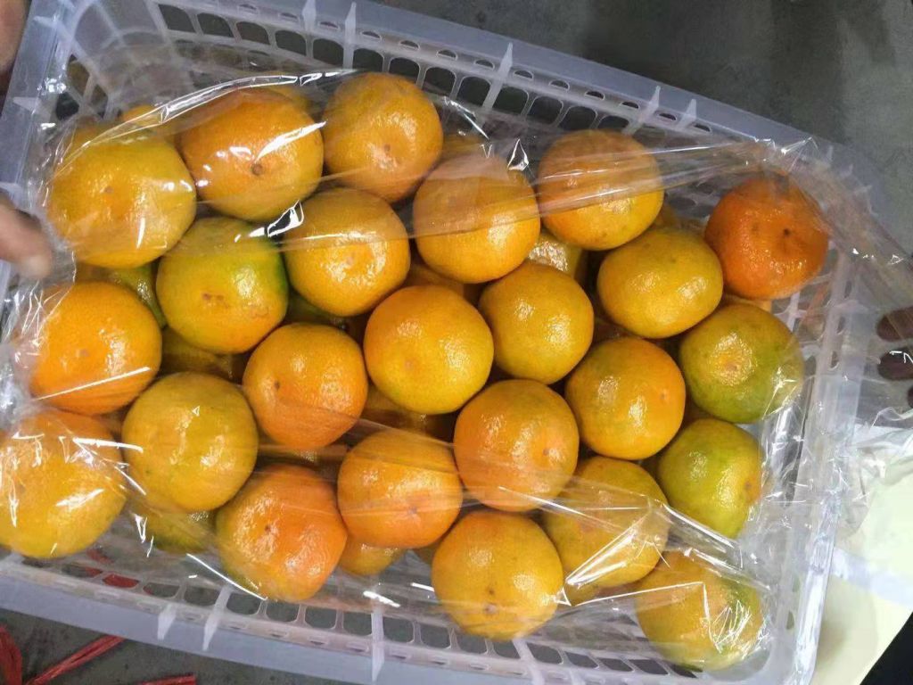 Fresh Tangerine Oranges
