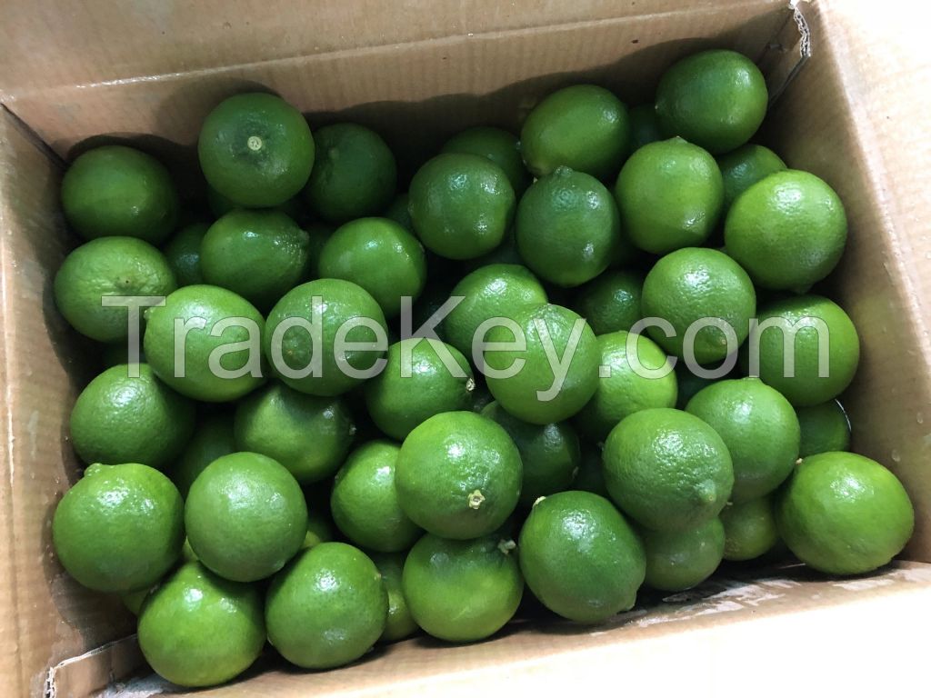 Natural Fresh Green Lemon