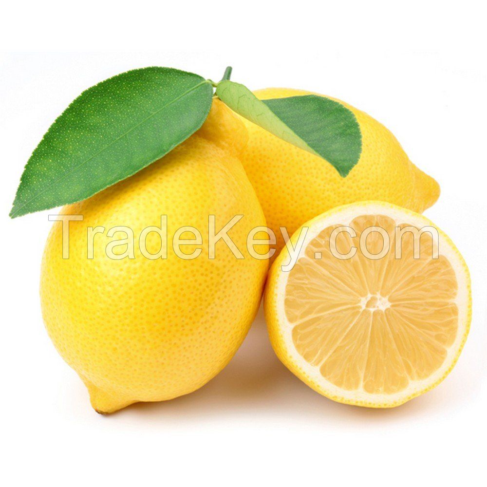 Fresh Green Lemon For Exportation