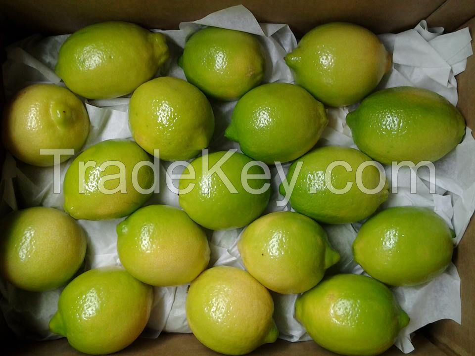 Natural Fresh Green Lemon