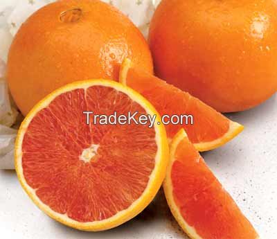 Sweet Fresh Navel Orange
