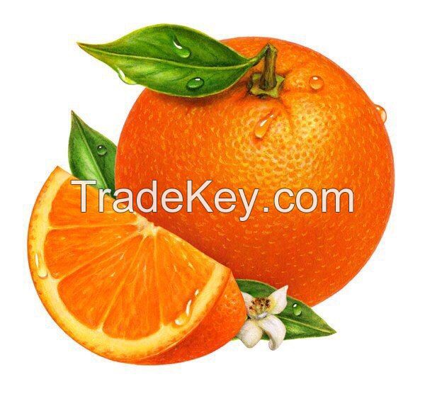 Fresh Citrus Fruits, Juicy Oranges, Navel, Valencia Oranges