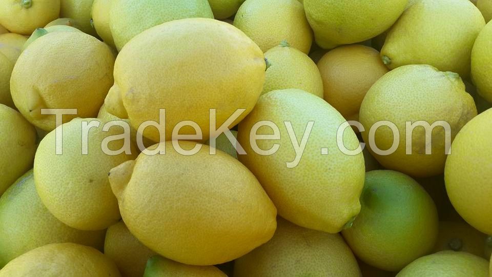 Natural Fresh Green Lemon