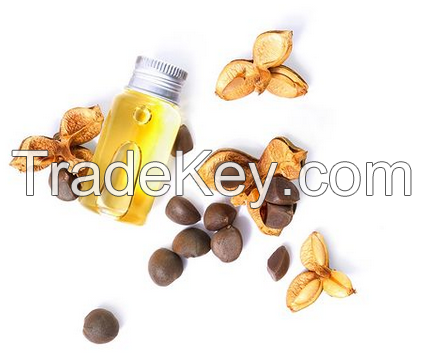 Factory Direct Supply Pure Refined Camellia Seed Oil For Sale