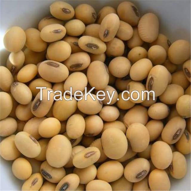 QUALITY SOYBEANS / SOYA BEANS FOR EXPORT GMO & NON GMO SOYBEAN SEEDS