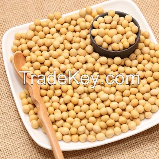 QUALITY SOYBEANS / SOYA BEANS FOR EXPORT GMO & NON GMO SOYBEAN SEEDS