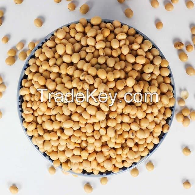 QUALITY SOYBEANS / SOYA BEANS FOR EXPORT GMO & NON GMO SOYBEAN SEEDS