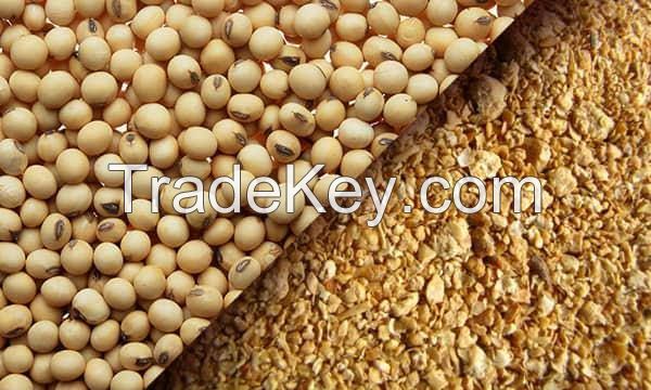 High Protein Quality Soybean Meal, 42% - 48% Protein, Fit For Animal Feed (Horse, Chicken, Pig, Cattle),