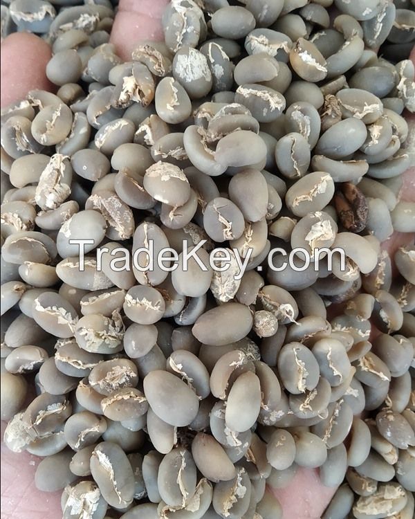 028 New Crop June 2020 Arabica Coffee Bean origin Java Island