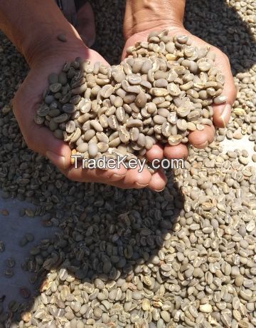 028 New Crop June 2020 Arabica Coffee Bean origin Java Island