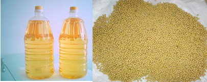 Refined Soybean Oil