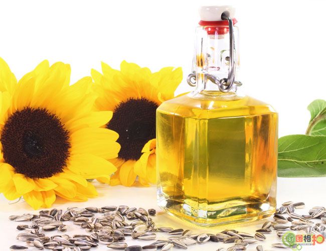 Sunflower oil