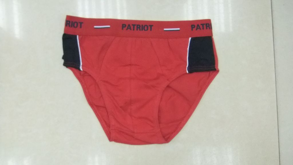 men's brief CY-2001