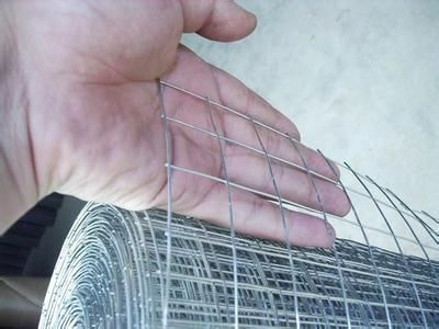 hot dipped galvanized welded wire mesh 