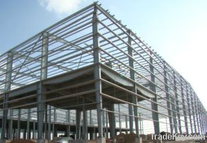 Steel Structure Storehouse/Building