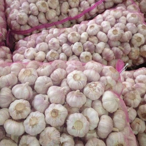 wholesale crop fresh Chinese garlic