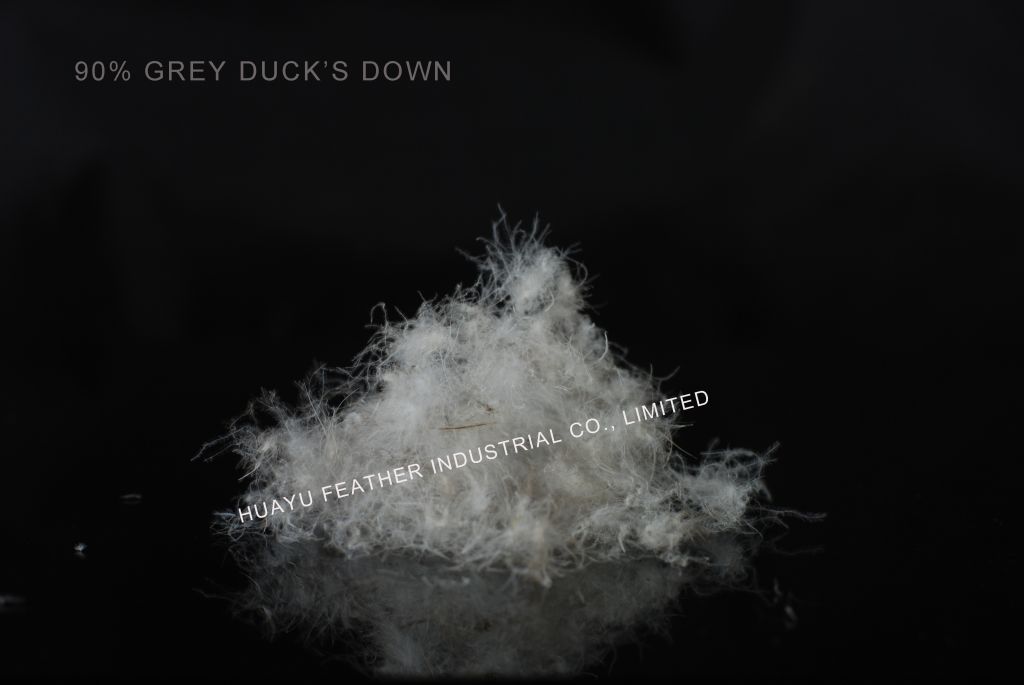 90% Grey Duck's Down