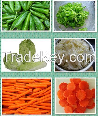 Universal Vegetable Cutter Vegetable Cutting Machine Carrot Cutter Celery Cutter 