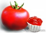 Hot Selling Fresh Tomato Paste 22/24% 28/30%