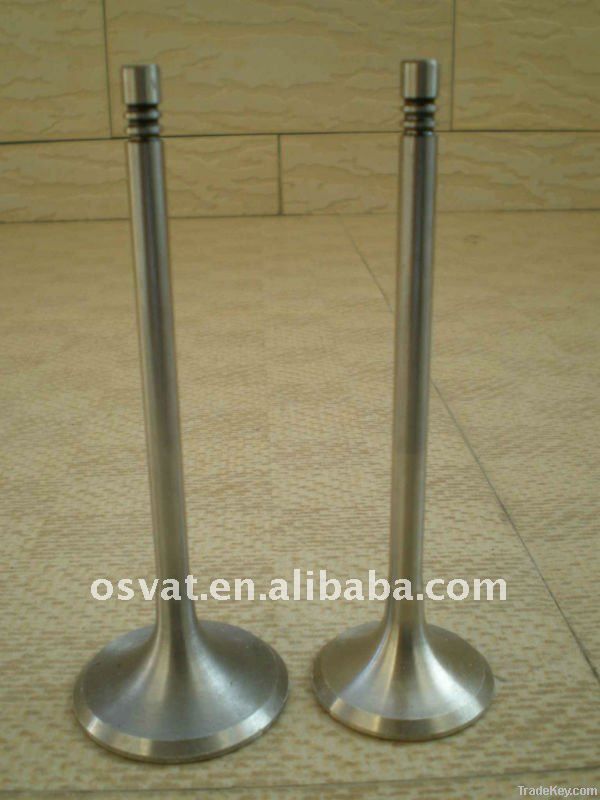 Intake Valve & Exhaust Valve