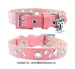 Dog  Collar