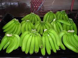 High sugar level green cavendish banana