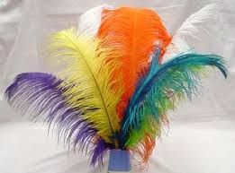 Ostrich Feathers