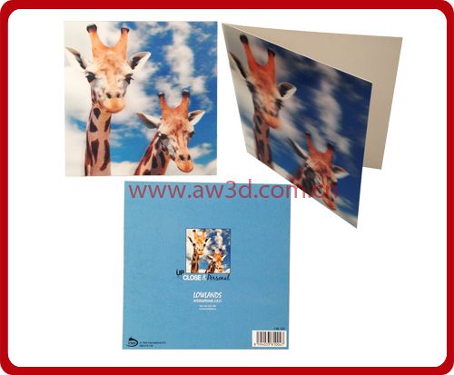 3D Lenticular Postcard